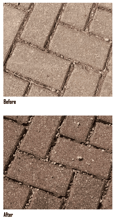 Paver Maintenance and Remedies